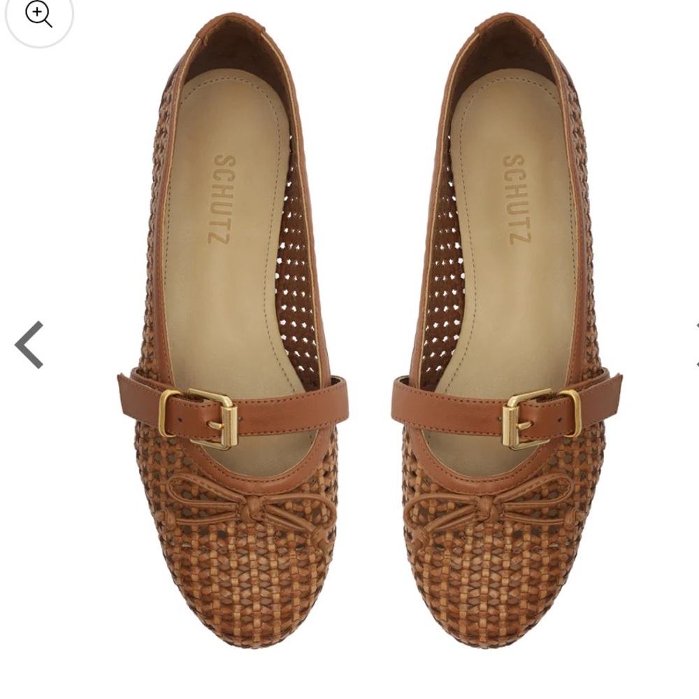 Brown Ballet Flats // Schutz Hanna Ballet Flats